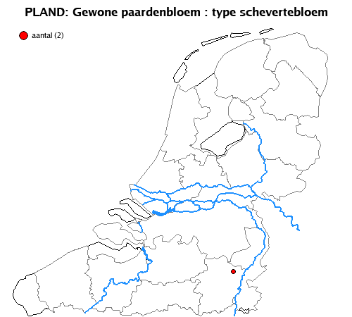schevertebloem